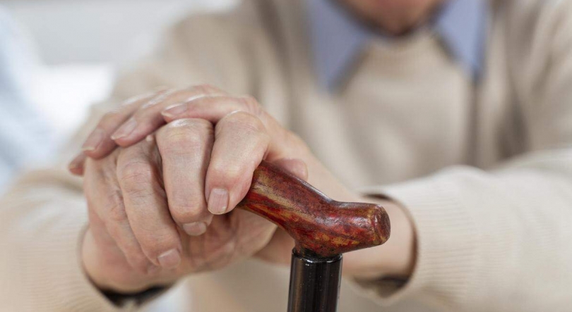 Imagem de Foi alargado o prazo para as Jornadas sobre Pensões Franco-portuguesas