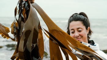 Imagem de Rota das Algas em Isto Faz-se Por Cá