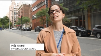 Imagem de Inês Godet estuda o cancro em Nova Iorque