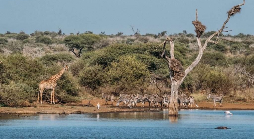 Imagem de Cerca de 1.300 famílias sitiadas em três comunidades de parque moçambicano