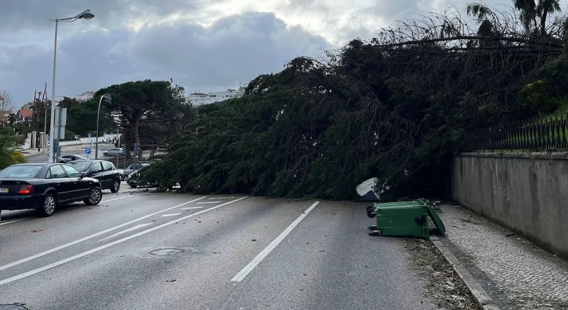 Imagem de Leiria lança plataforma Estragos.pt para reporte de danos