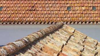 Imagem de Solidariedade chega da Suíça à região de Leiria