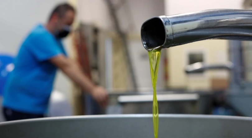 Imagem de Azeite português entre os primeiros produtos a ter passaporte digital