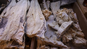 Imagem de Bacalhau pode faltar no Brasil