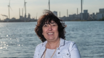 Imagem de Portuguesa reeleita autarca nos Países Baixos