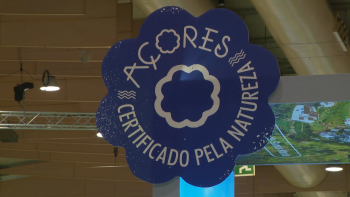 Imagem de Exportações de produtos açorianos para os EUA em alta