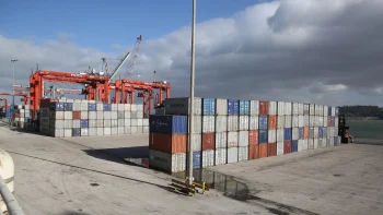 Diagnóstico da economia por dois portugueses no estrangeiro